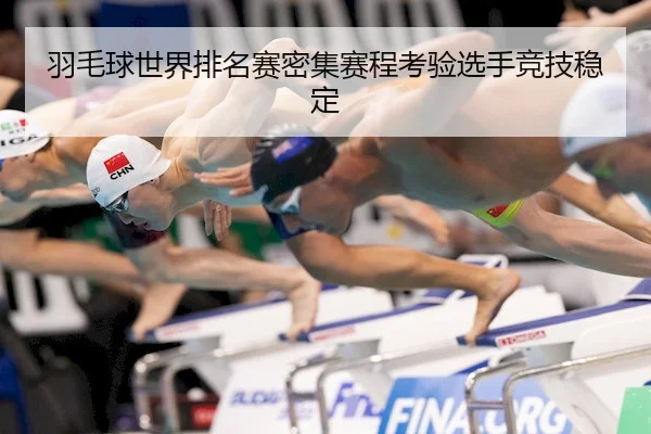 羽毛球世界排名赛密集赛程考验选手竞技稳定